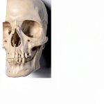 LSU Press Forensic Medicine Book, 1st Edition, English, 152 Pages-0