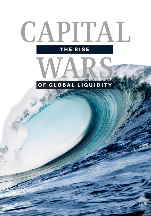 Financial Risk Management eBook Palgrave Macmillan 2020 Kindle Edition-0